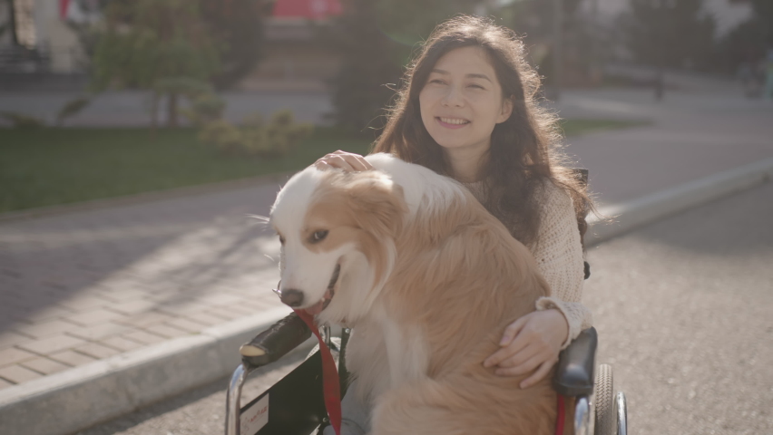 Portrait of disabled happy blind woman in wheelchair with her guide dog looking at camera. Asian handicapped visually impaired girl with paralysis living full life. Outdoor summer. 6k downscale 10 bit Royalty-Free Stock Footage #1080177965