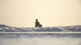 Low Shot of a Surfer Walking in the Sea. High quality video