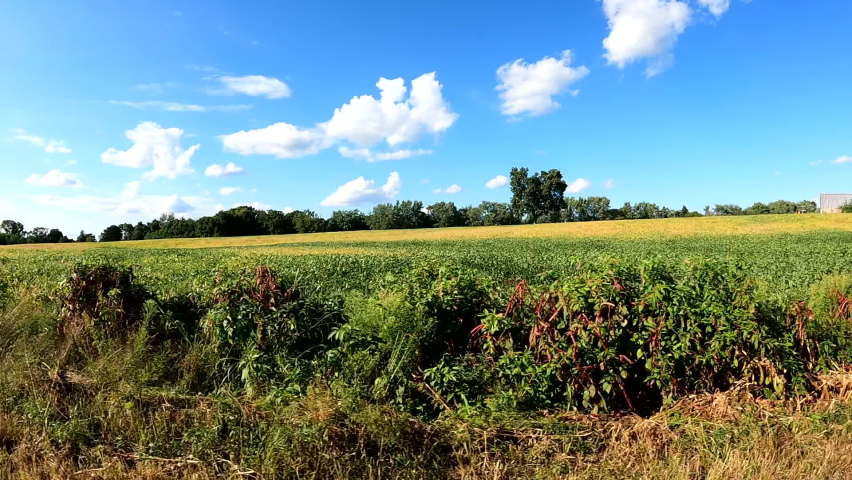Driving in Rural Midwest with Blue Skies and White Clouds