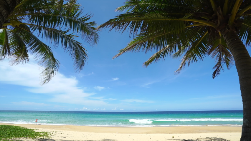 Green coconut palm trees in tropical island blue sky background.White sand and coco palms camera gimbal shot walking beach.Palm trees against sky tropical island in summer.
