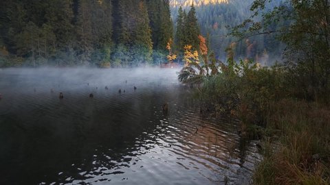 Spectacular foggy sunrise during cold autumn day. Mountain lake mist. Autumn colored trees in the forest