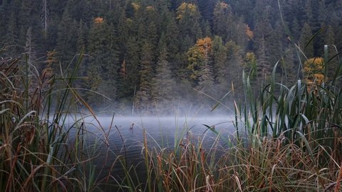 Low angle of misty lake surface in the mountains during a cold autumn morning