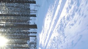 A woman going cross-country skiing in a frozen forest in Finland on a frosty sunny day. Vertical video for smartphone screen, for target social media platforms and web browsers on mobile devices.