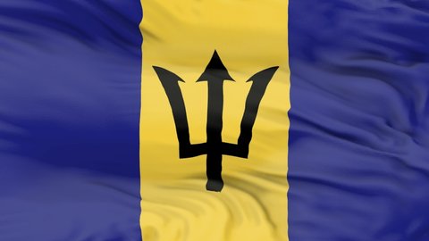 Barbados flag is waving 3D animation. Barbados flag waving in the wind. National flag of Barbados. flag seamless loop animation. 4K