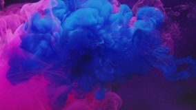 Neon blue magenta pink haze mix on white blooming daisy pouring animation on glitter dust purple background. - Powered by Shutterstock - Get 15% off with code: PIKWIZARD15