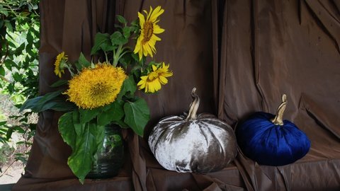 Decorative silver and blue velvet sewed pumpkins still life with bouquet of fresh yellow sunflowers on brown curtain background. Stuffed craft pumpkin for Halloween decorations and Thanksgiving Day