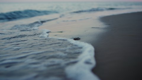 Evening seashore close up. Calm ocean water waves splashing sandy beach. Closeup small blue sea waves breaking sand beach at summer morning dawn in slow motion. Abstract nature background travel relax