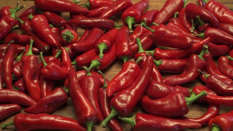 Ripe red chili peppers grown in New Mexico are a culinary delight in the USA. They are a delicious part of New Mexican food in the North American southwest.