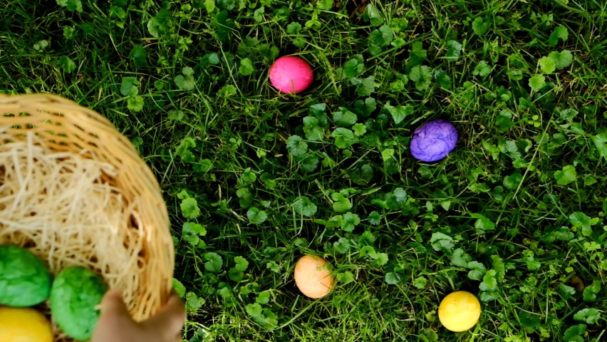 Easter Egg Hunt.Child collects Easter eggs and puts in a basket. Eggs in a round basket on a green clover.View from above. Colorful easter eggs. Easter holiday tradition.Spring religious holiday Royalty-Free Stock Footage #1080249506