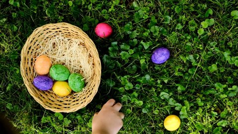 Easter Egg Hunt.Child collects Easter eggs and puts in a basket. Eggs in a round basket on a green clover.View from above. Colorful easter eggs. Easter holiday tradition.Spring religious holiday
