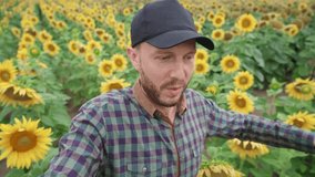 Man farmer walks through a field of sunflowers and takes a video of himself, the video blogger tells about the sunflower harvest on video for social network, farmer takes a selfie.