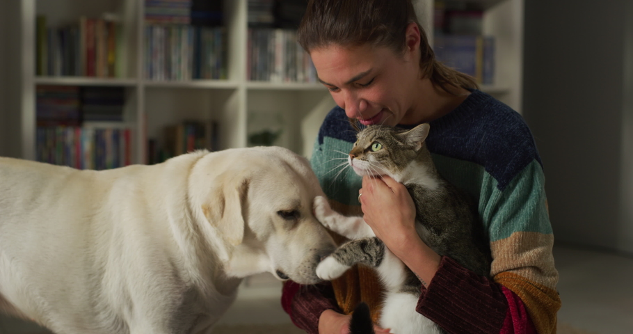 Cinematic authentic shot of happy woman presenting new member of family cat to her curious pet labrador retriever dog while having fun together on carpet in living room at home.  Royalty-Free Stock Footage #1080269120