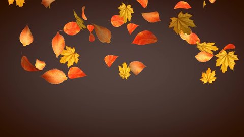 Autumn leaves are falling on a brown background. 3D animation of leaf fall. Autumn concept. Changing seasons.