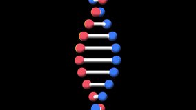 Animation of dna strands spinning on black background. global science and genetics concept digitally generated video.