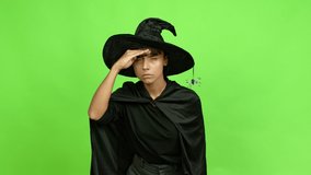 Young woman wearing witch hat for halloween parties looking far away with hand to look something over isolated background. Green screen chroma key