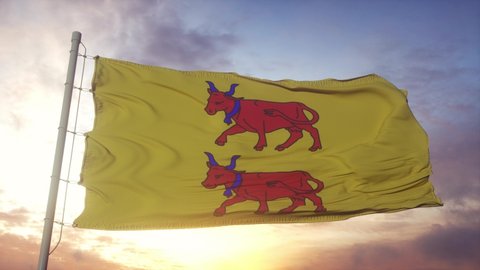 Bearn flag, France, waving in the wind, sky and sun background