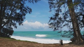 Peaceful and beautiful pine tree beach in sunny day of phuket island with cloud blue sky,4K video.
View of tropical beach.