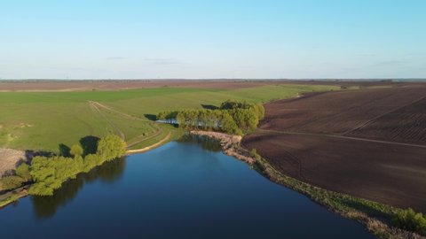 Pond with calm water overgrown with willows along the banks among the agricultural field in spring evening, aerial view  
