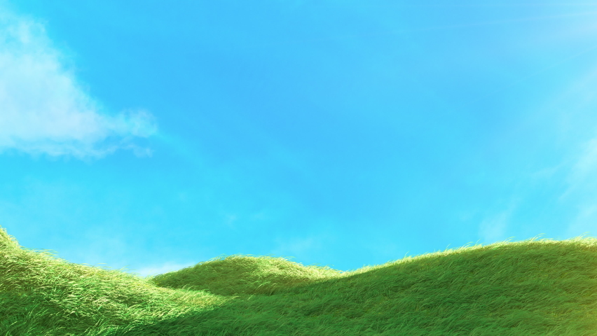 Mountain Grass with Blue Sky Loop. 3D rendering. Grass swaying soft wind with shine light in the morning and blue sky on a seamless loop.