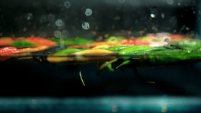 Close-up of orange and green chili peppers floating underwater with dark background. Smooth view of multicolored and fresh spicy vegetables in liquid. Healthy and traditional Mexican food - Powered by Shutterstock - Get 15% off with code: PIKWIZARD15