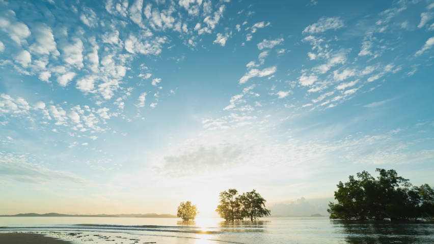Time lapse Sunrise up middle trees cloudy dramatic sky.Orange colors sunrise and waves.Two trees in sea silhouette reflection water loop smooth  mountain background. 