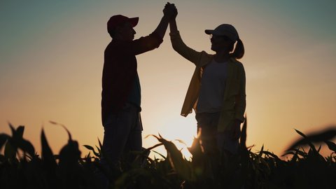 Agriculture. Farmers shaking hands. Agricultural contract. Green field of organic corn.Agriculture harvesting.Two farmers shaking hands with business contract. Agricultural business.Organic corn field