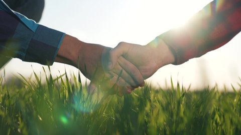 Agriculture. Farmers handshake in field. Agribusiness. Agricultural farm. Farmers handshake in green field. Farmers in wheat field concluding contract. Teamwork of farmers. Agricultural contract.