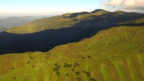 Drone flies over the green hills illuminated by the sun on a summer day. Location Carpathian mountains, Ukraine, Europe. Cinematic aerial shot. Discover the beauty of world. Filmed in 4k, drone video.