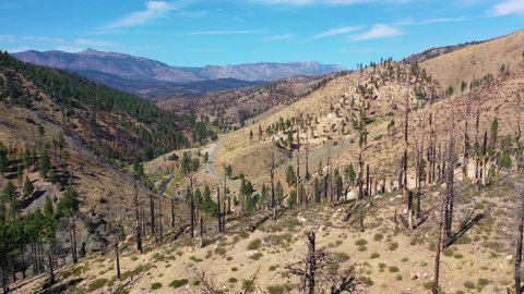 LAKE TAHOE, CALIFORNIA - CIRCA 2021 - aerial over burned forests with vegetation returning near Lake Tahoe, California.