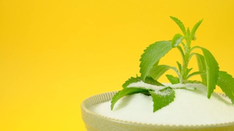 Fresh stevia branch in stevia powder in a plate on yellow background.Rotation. High quality 4k footage