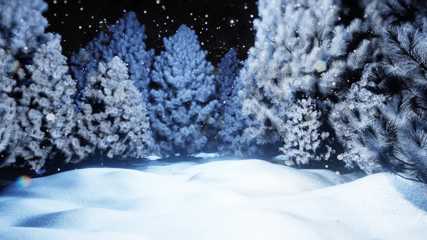 Fabulous beautiful New Year's forest 2026, 2025. Christmas background. Frozen fir trees in a snowy forest under a snowfall on the background of a starry sky. 4K loop animation video