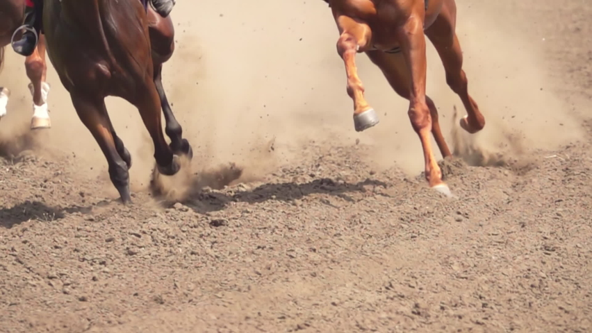 Several Racehorses are Raising a Cloud of Dust With Their Hooves. Slow Motion Royalty-Free Stock Footage #1080363902