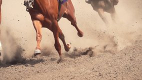 Several Racehorses are Raising a Cloud of Dust With Their Hooves. Slow Motion - Powered by Shutterstock - Get 15% off with code: PIKWIZARD15