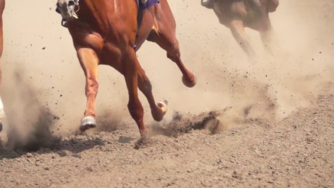 Several Racehorses are Raising a Cloud of Dust With Their Hooves. Slow Motion
