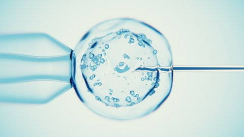Artificial insemination of a cell or injection.