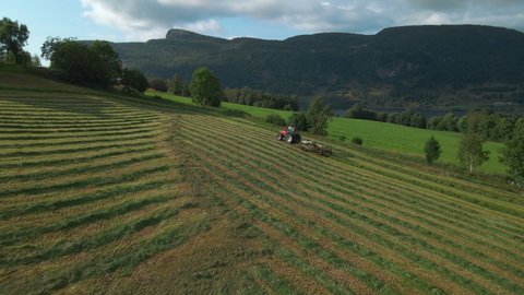 Silage Production. Hay Turner Pulled By Tractor Turning Grass On Farmland In Norway. wide aerial