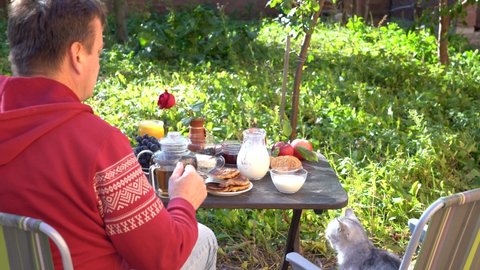 Joint breakfast of a man and a cat. Cute little gray cat drinking milk from glass bowl on the breakfast table in the autumn garden, close up