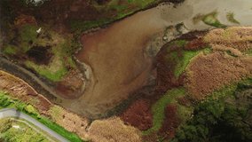 Aerial top down view of green and brown colored swampy landscape on a sunny day in autumn. Amundon, Gothenburg. 4k drone footage.