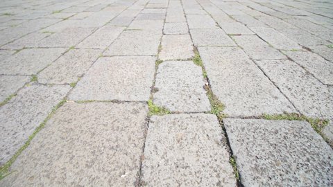 Grass sprouts through old grey slabs of city pavement