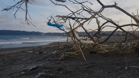 video with the theme of natural damage, focusing on dry twigs on the beach, wooden twigs carried by the waves to the beach and carrying plastic waste in strong winds