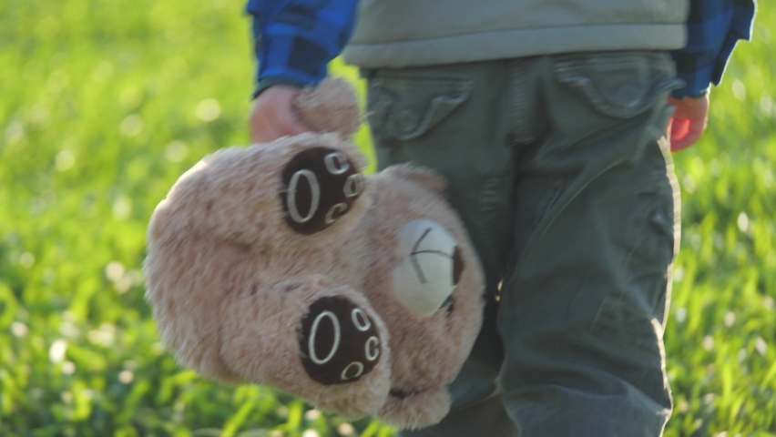 little boy carries a teddy bear in his hands, a kid with a teddy walks in park on a green lawn, development of children in a society of people, developmental delay and attention deficit in childhood Royalty-Free Stock Footage #1080400070