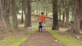young man wearing an orange T-shirt, playing with his two dogs in the forest. 