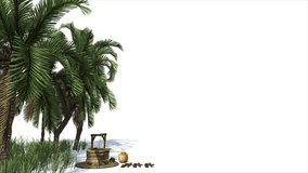Computer generated animation of palm trees,water holder and grass in the breeze with a white background. 3d object tree. 3d Animated video. 4k Resolution. Moving image.