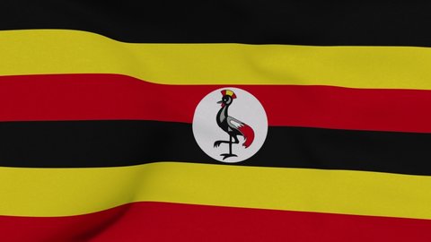 Flag Uganda Patriotism National Freedom Seamless Stock Footage Video ...