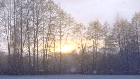 Winter landscape with snow. Snowfall. Falling snow nature background. Blurred winter backdrop with snow flakes on the wind. Outdoor Christmas scene. Slow motion. Snowing. 