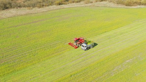 4K Aerial Elevated View Of Combine Harvester And Truck Working Together In Field. Harvesting Of Oilseed In Spring Season. Agricultural Machines Collecting Rapeseeds Canola Colza Rural Landscape.