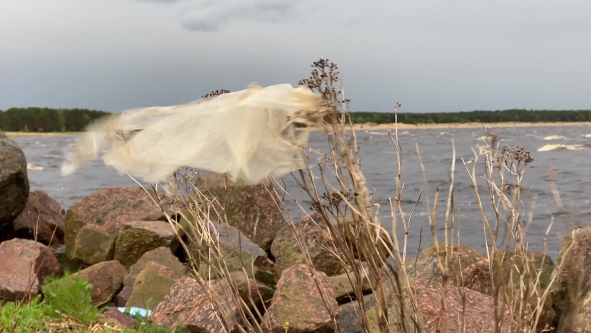 Plastic bag hangs in the wind weighing on the plant stem