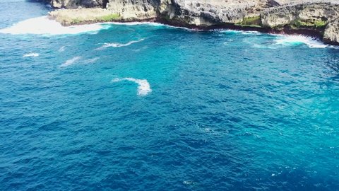 Drone capturing a pod of dolphins swimming in ocean near to Angel Billabong, Nusa Penida