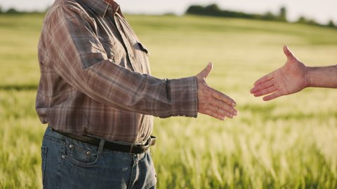 Two farmers are meeting and shaking hands. They're standing by the field. The camera is focusing on their hands. The sun is shining brightly. 4K