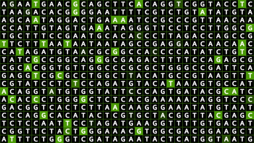 Loopable: Genetic mapping DNA sequence analysis abstract background with letters A,G,C,T in grid with green squares. Big genomic data analysis concept. Royalty-Free Stock Footage #1080520991